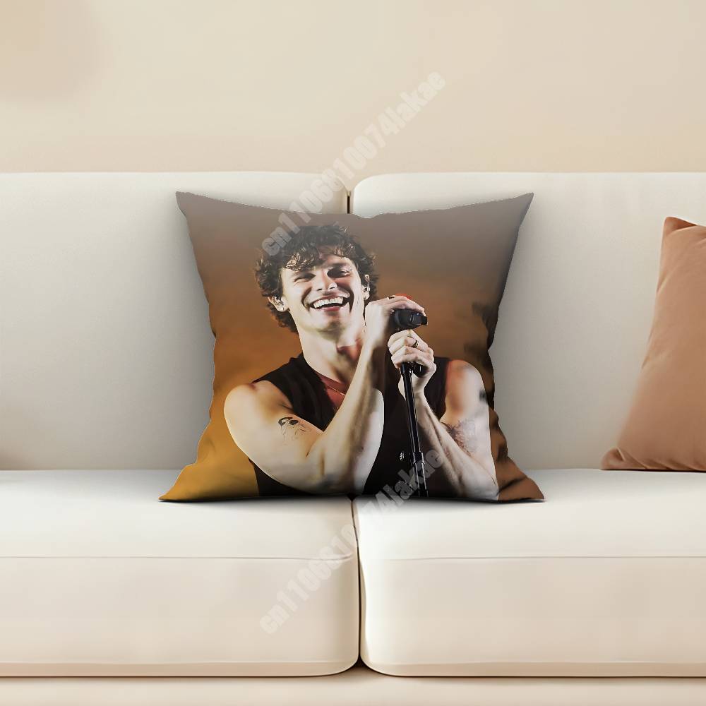 S-Shawn M-Mendes A House Full  - Home Textiles And Furnishing ulasan dan harga